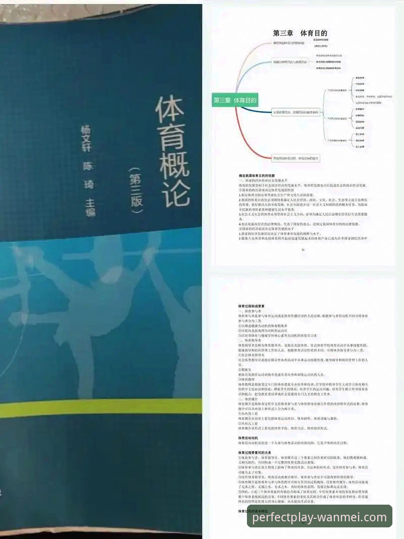 完美体育2024最新版iOS版 完美体育2024最新版iOS版:提升移动观赛体验的实用指南